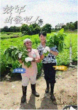 嫂子影院音乐综艺声音拼图海报